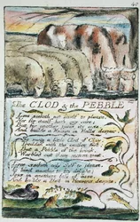 The Clod and the Pebble, plade 40 (Bentley 32) fra Songs of Innocence and of Experience (Bentley Copy L) 1789-94 (relief ætsning med pen & wc)